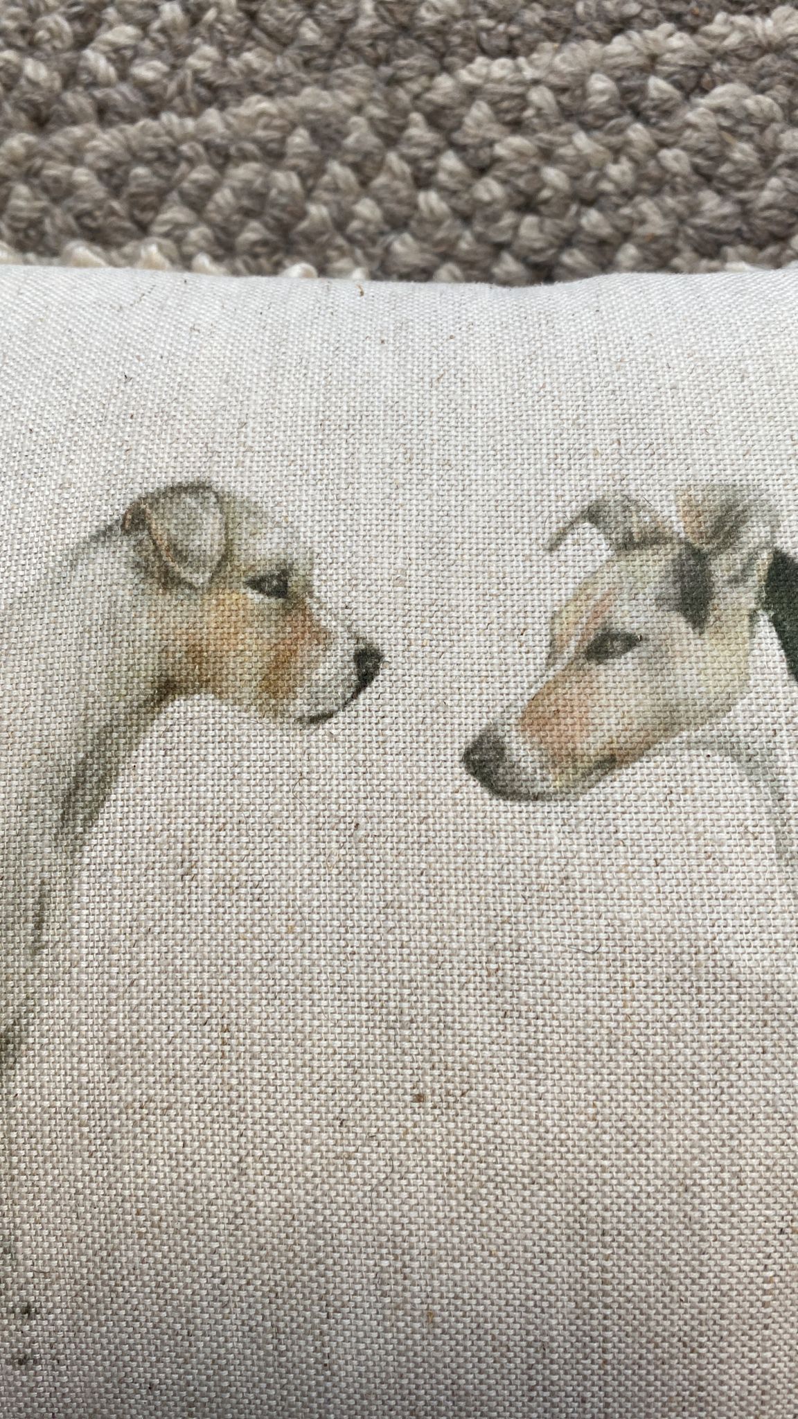 Dog Voyage Cushion